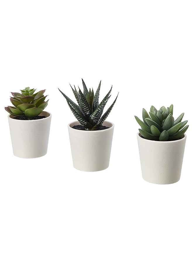 erorex Artificial Plants Mini Succulents With Plastic Vase Pot White 3 Pieces  - Image 1