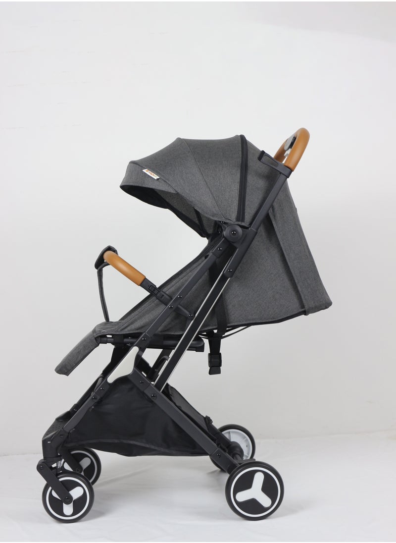 Lightweight Travel Stroller with Mosquito Mesh, Adjustable Canopy, and Trolley Handle for Easy Air Travel-Black