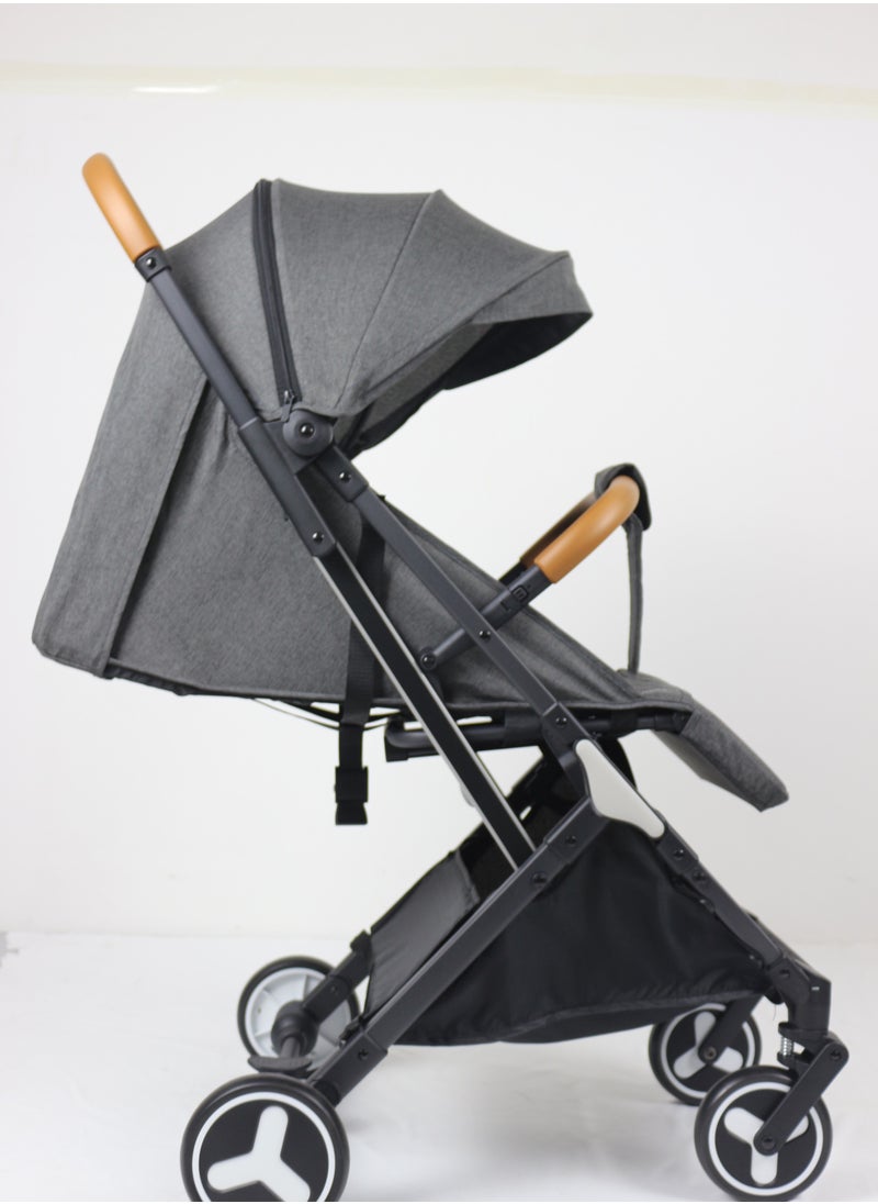 Lightweight Travel Stroller with Mosquito Mesh, Adjustable Canopy, and Trolley Handle for Easy Air Travel-Black