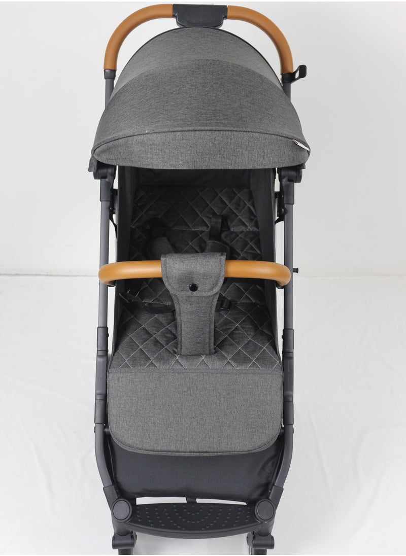 Lightweight Travel Stroller with Mosquito Mesh, Adjustable Canopy, and Trolley Handle for Easy Air Travel-Black