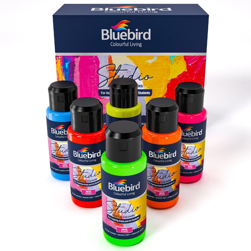 BLUEBIRD Studio Acrylic Paints Neon Colors 6Pack 34 Fl Oz each Basic Acrylic Paint For DIY Crafts Beginner Artists