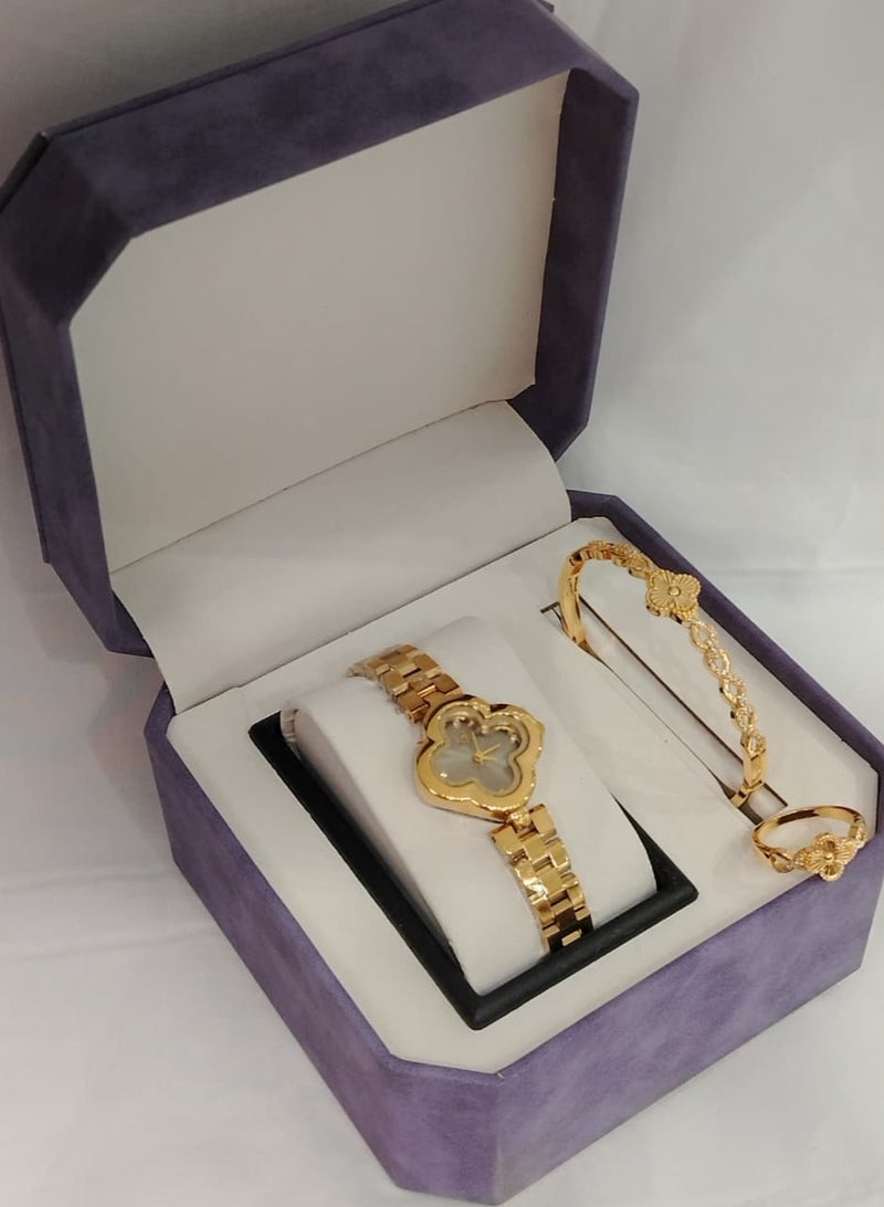 Rivoli Elegant women's watch and bracelet set, high quality stainless steel