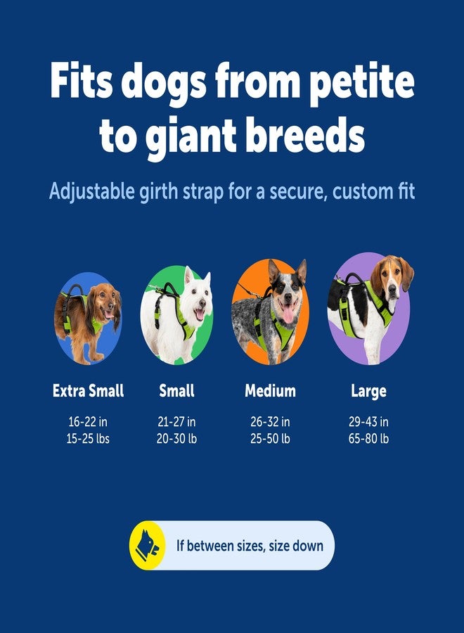 بيت سيف حزام PetSafe EasySport - قماش مبطن متين، رقبة مطاطية قابلة للتعديل، حلقة ربط خلفية، ورؤية عاكسة للضوء ليلاً - لا يسبب الاختناق أو التقييد - مقاس صغير جدًا - أسود - Image 5