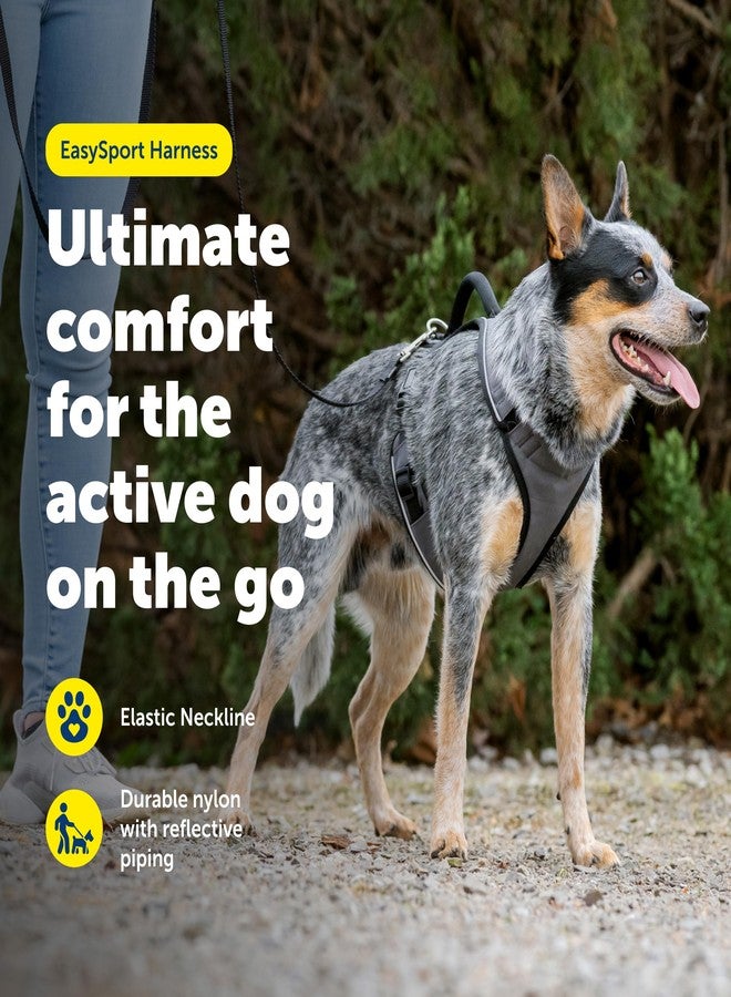 بيت سيف حزام PetSafe EasySport - قماش مبطن متين، رقبة مطاطية قابلة للتعديل، حلقة ربط خلفية، ورؤية عاكسة للضوء ليلاً - لا يسبب الاختناق أو التقييد - مقاس صغير جدًا - أسود - Image 2