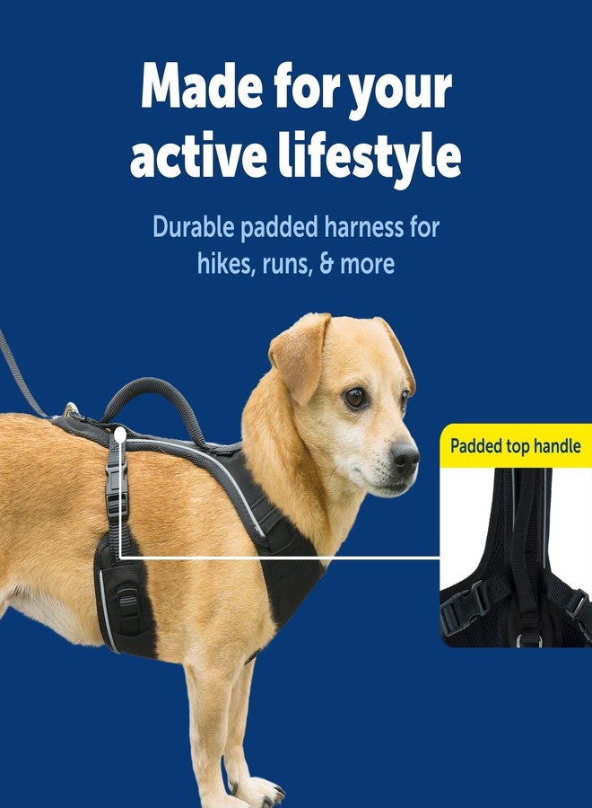 بيت سيف حزام PetSafe EasySport - قماش مبطن متين، رقبة مطاطية قابلة للتعديل، حلقة ربط خلفية، ورؤية عاكسة للضوء ليلاً - لا يسبب الاختناق أو التقييد - مقاس صغير جدًا - أسود - Image 3