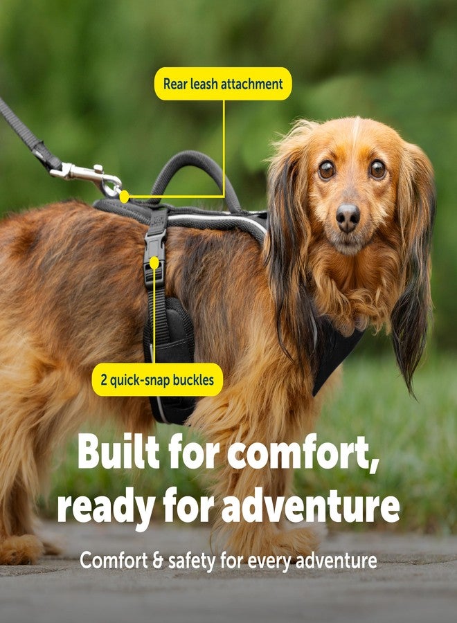 بيت سيف حزام PetSafe EasySport - قماش مبطن متين، رقبة مطاطية قابلة للتعديل، حلقة ربط خلفية، ورؤية عاكسة للضوء ليلاً - لا يسبب الاختناق أو التقييد - مقاس صغير جدًا - أسود - Image 4