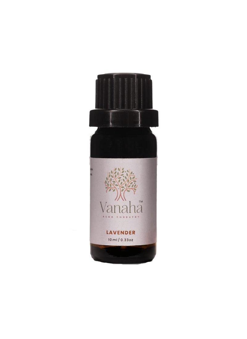 VANAHA AGRO FORESTRY Lavender Essential Oil 10ML 