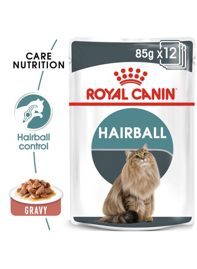 ROYAL CANIN Feline Care Nutrition Hairball Gravy Wet Food Pouches  - Image 1