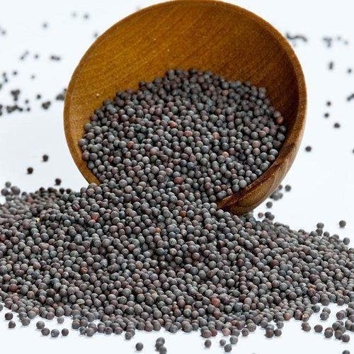 Nurito Sarso Kali -1kg (4*250g) - Image 2