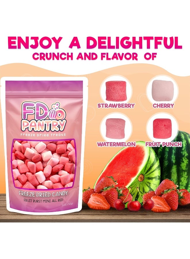 FD Pantry Freeze Dried Fruit Burst Candy (Reds) - Image 3