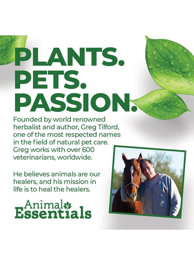 Animal Essentials Daily Digestion for Dogs & Cats - Digestive Support, Fresh Breath, Ginger Root, Fennel Seed Extract, Liquid Supplement - 2 Fl Oz - Image 4