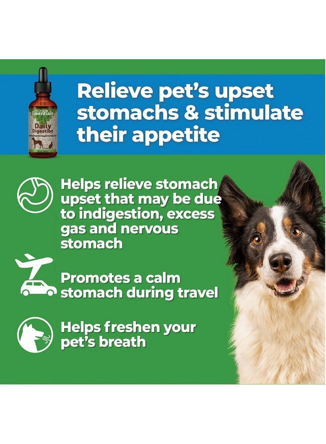 Animal Essentials Daily Digestion for Dogs & Cats - Digestive Support, Fresh Breath, Ginger Root, Fennel Seed Extract, Liquid Supplement - 2 Fl Oz - Image 3