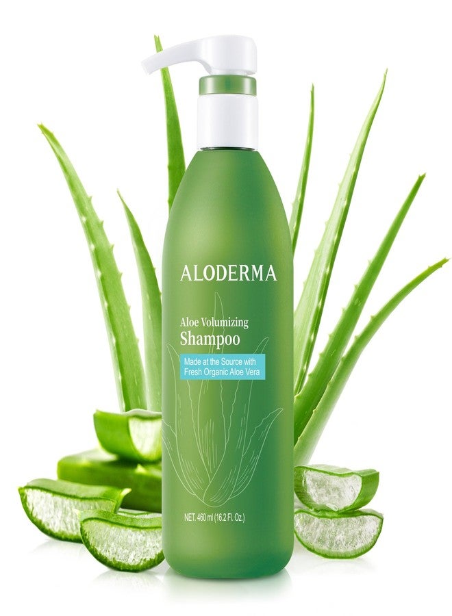 Aloderma Aloe Volumizing Shampoo 16oz - Fresh, Organic Aloe Vera Shampoo (No Water Added) for Fine, Brittle, Thinning Hair - Infused with Arginine & Panthenol - No Alcohol, Parabens, or Mineral Oil - Image 1