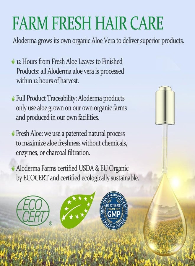Aloderma Aloe Volumizing Shampoo 16oz - Fresh, Organic Aloe Vera Shampoo (No Water Added) for Fine, Brittle, Thinning Hair - Infused with Arginine & Panthenol - No Alcohol, Parabens, or Mineral Oil - Image 5