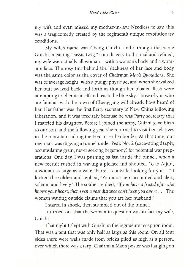 Hard Like Water - Image 5