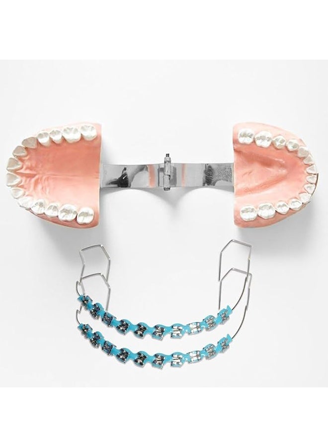 Generic Metal Braces for Orthodontics, Metal Bracket and Orthodontic Ligature Ties, Props for Dental Students to Practice - Blue  - Image 3