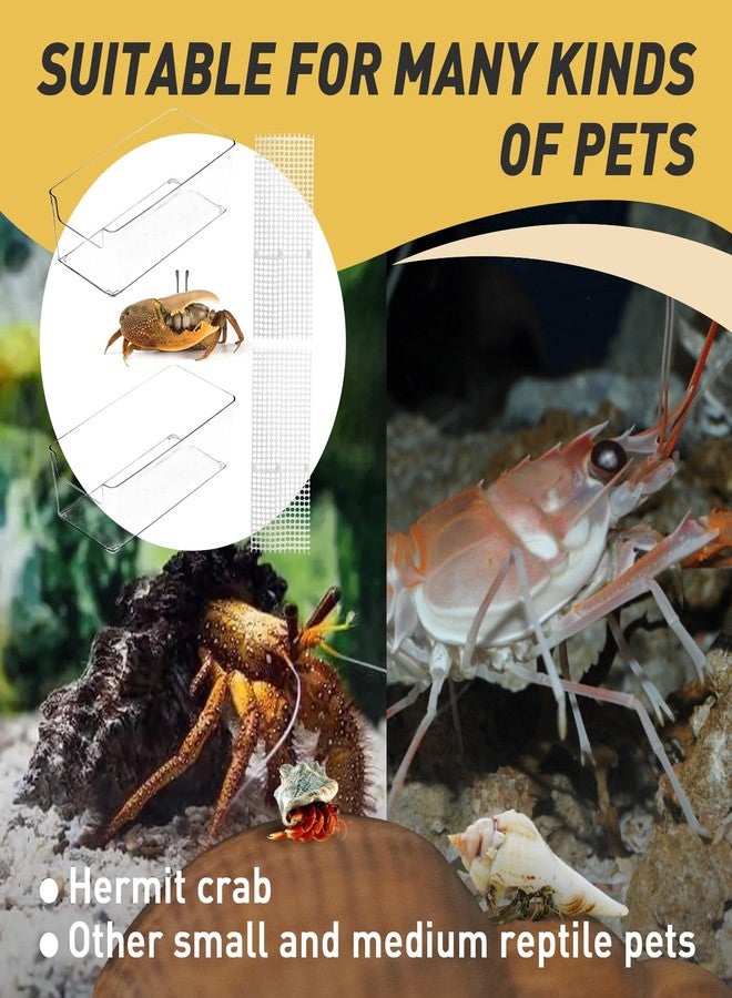 Iffitya 2 Packs Large Hermit Crab Water Tank - Ideal Hermit Crab Pool and Tank Combination - Hermit Crab Water Tank with Cuttable Climbing Ramp, Transparent - Image 4