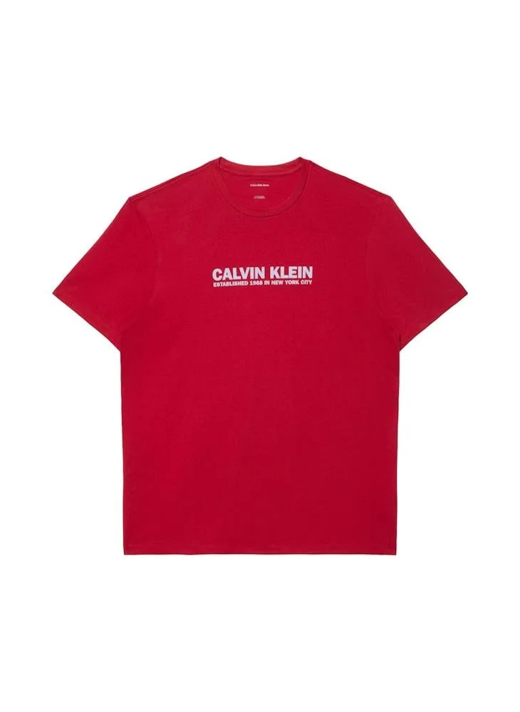 CALVIN KLEIN Graphic Crew Neck T-Shirt