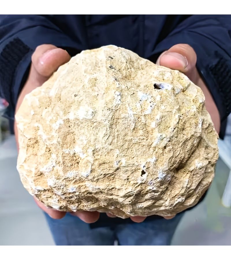 أحجار العقيق غير المفتوحة على شكل بيض بوزن يتراوح بين 3.46 و5.36 أونصة، افتح بنفسك لتحصل على بلوراتك الفريدة المبهرة. عينات كهفية متجمعة، هدايا جيولوجية إبداعية، وديكورات للمنزل وغرفة المعيشة والمكتب، وهياكل لمجموعات علمية. - Image 1