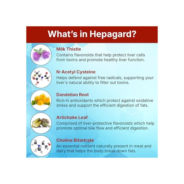 Hepagard - Natural Liver Support Supplement with N-Acetyl Cysteine (NAC) - Non-GMO, Vegan, Gluten-Free - Image 5