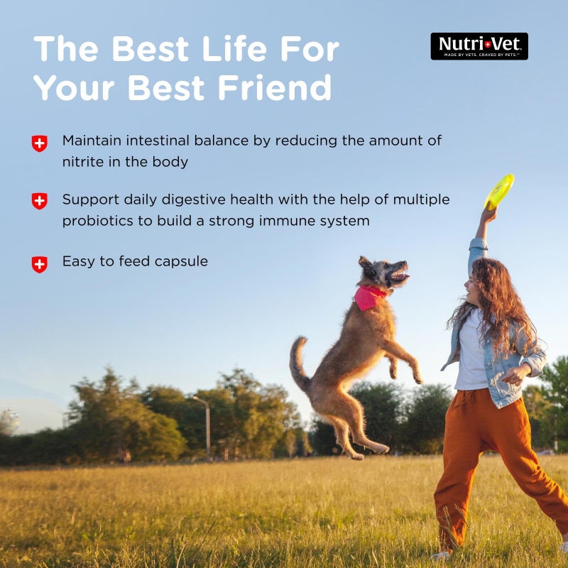 nutri vet Nutri-Vet Probiotics for Dogs, Dog Probiotics for Digestive Health, Puppy Probiotics, Promotes Healthy Immune System & Gut Health, Vet Formulated, Puppy Supplies, 60 Count Capsules - Image 4