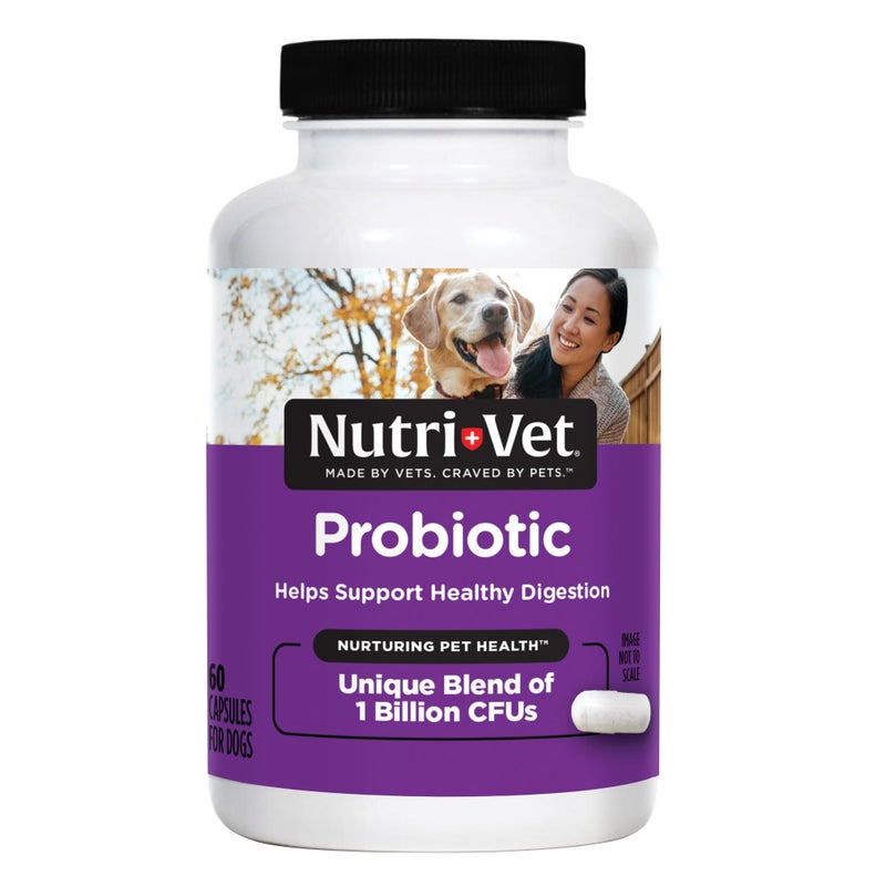 nutri vet Nutri-Vet Probiotics for Dogs, Dog Probiotics for Digestive Health, Puppy Probiotics, Promotes Healthy Immune System & Gut Health, Vet Formulated, Puppy Supplies, 60 Count Capsules - Image 1