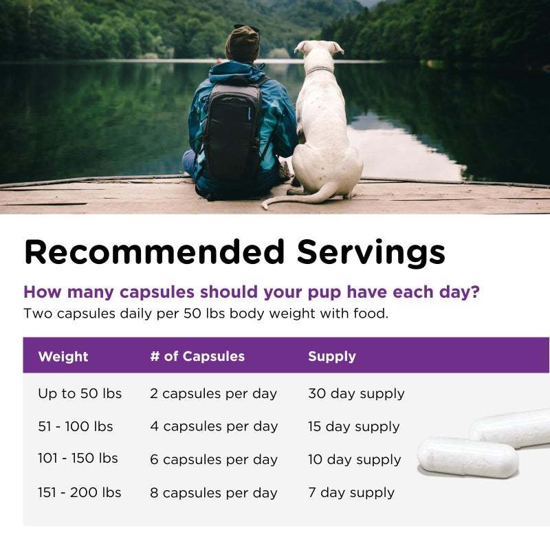 nutri vet Nutri-Vet Probiotics for Dogs, Dog Probiotics for Digestive Health, Puppy Probiotics, Promotes Healthy Immune System & Gut Health, Vet Formulated, Puppy Supplies, 60 Count Capsules - Image 5