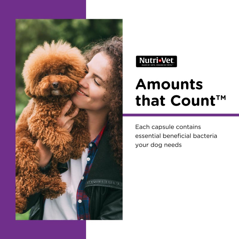 nutri vet Nutri-Vet Probiotics for Dogs, Dog Probiotics for Digestive Health, Puppy Probiotics, Promotes Healthy Immune System & Gut Health, Vet Formulated, Puppy Supplies, 60 Count Capsules - Image 3