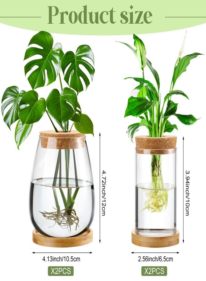 Layhit 4 Pcs Plants Propagation Stations Separated Desktop Plant Terrarium Glass Planter Vase with Wooden Lid and Bamboo Stand for Growing Hydroponic Home Office Tabletop Decoration (Classic Style) - Image 5