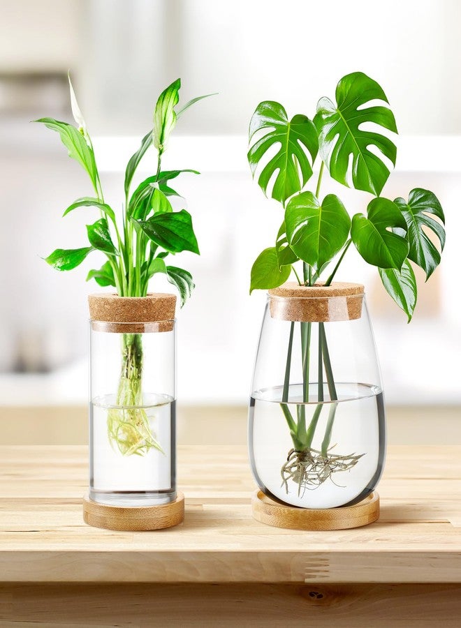 Layhit 4 Pcs Plants Propagation Stations Separated Desktop Plant Terrarium Glass Planter Vase with Wooden Lid and Bamboo Stand for Growing Hydroponic Home Office Tabletop Decoration (Classic Style) - Image 4