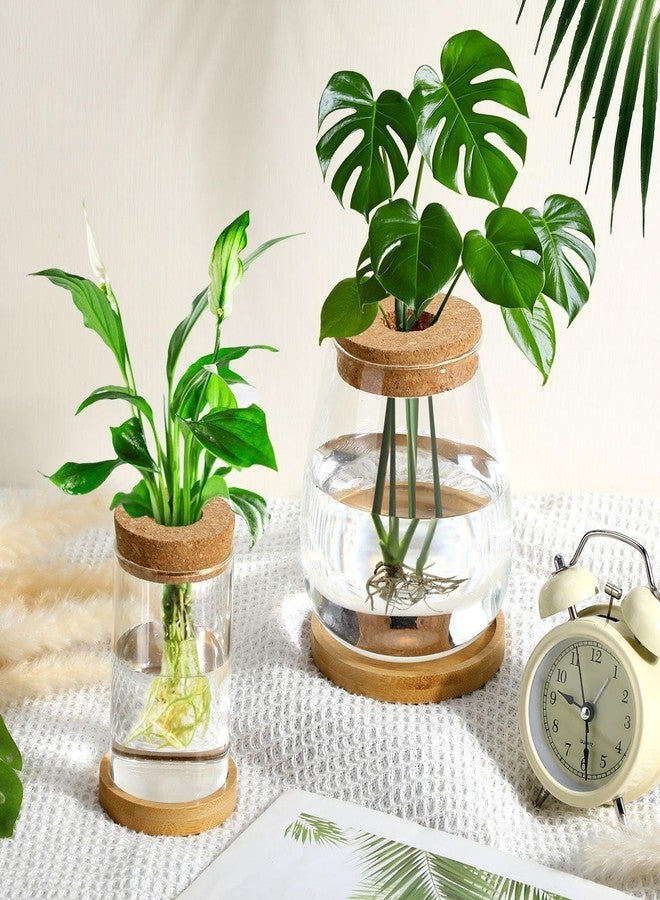 Layhit 4 Pcs Plants Propagation Stations Separated Desktop Plant Terrarium Glass Planter Vase with Wooden Lid and Bamboo Stand for Growing Hydroponic Home Office Tabletop Decoration (Classic Style) - Image 2