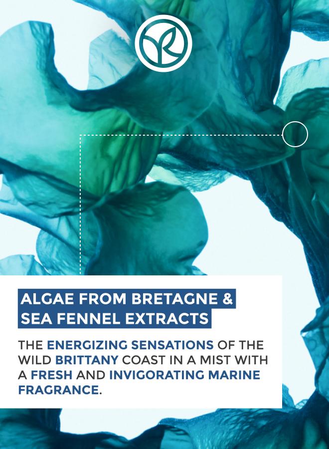 Yves Rocher HAND CREAM WILD ALGAE AND MARINE CRISTE 30ML TUBE - Image 5