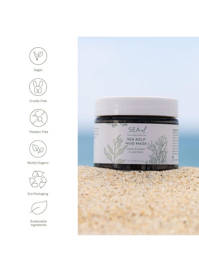Sea-El - Sea Kelp Mud Face Mask Skincare Activated Charcoal & Bentonite Clay Detox & Repair Facial Mask Calming Hydration Boost Turmeric & Aloe Daily Glow Essentials For Women & Men 2Oz - Image 1