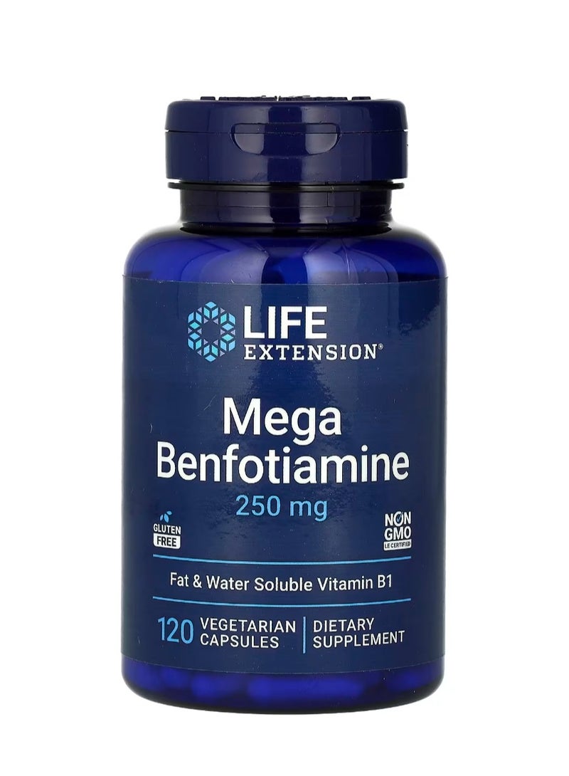 Life Extension Mega Benfotiamine 250 mg 120 Vegetarian Capsules - Image 1