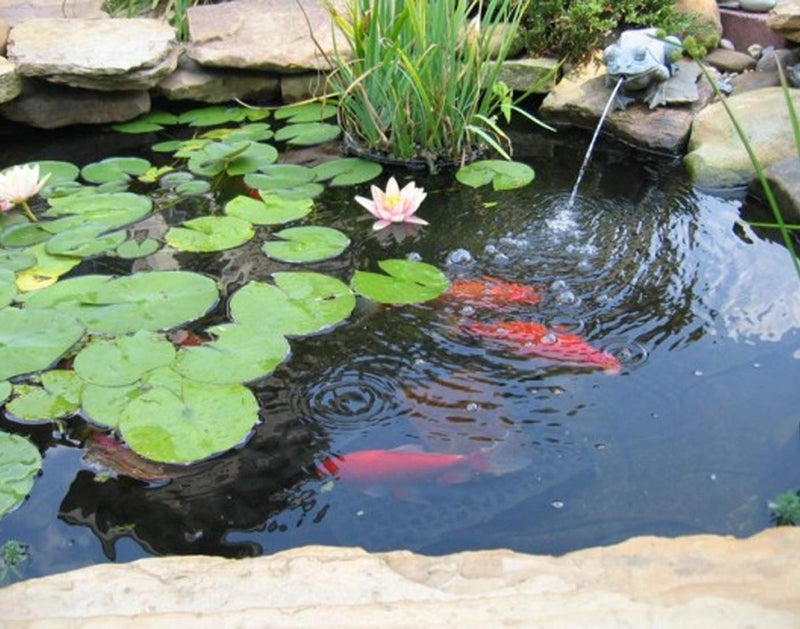 UWIOFF Pond Liner, 20 Mil 7 x 10 Feet Pond Liners for Outdoor Ponds, Black HDPE Fish Pond Liner for Koi Ponds, Streams Fountains and Garden Waterfall - Image 3