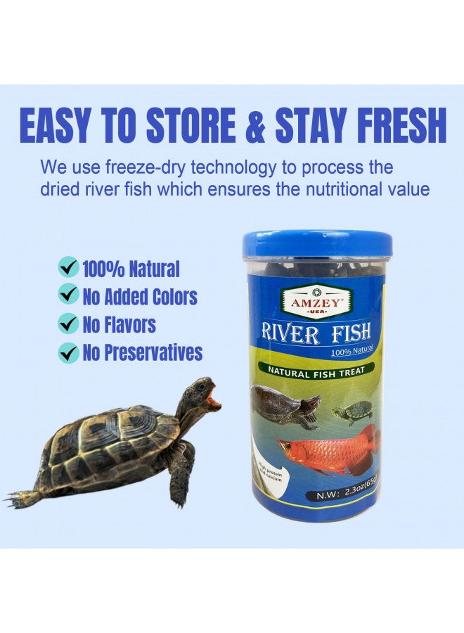 Amzey 2.3 oz Dried River Fish - Natural Food for Turtles, Terrapins, Reptiles and Large Tropical Fish - Image 4