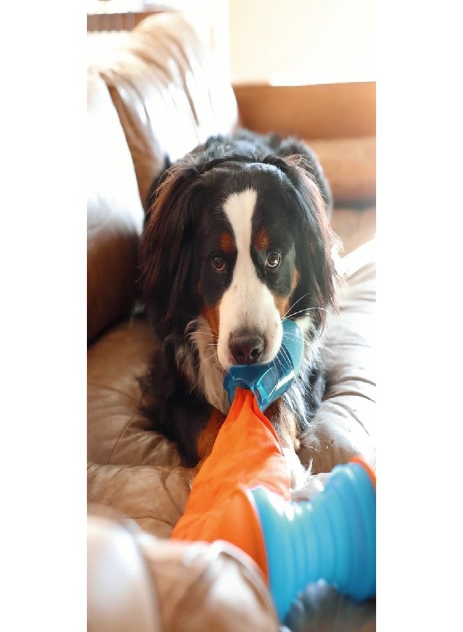 GURU Pet: Bonanza Rocket - Medium - Dog Toy, Blue & Orange, Hides & Dispenses Treats, Durable, Squeaks-Crinkles-Floats, Interactive Tug-Toss-Retrieval - Image 3