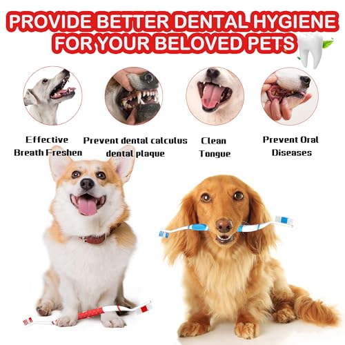 PenVinoo Dog Toothbrush pet Toothbrushes Finger Toothbrush Small to Large Dogs with Soft Bristles Non Slip Dual Head (8 pcs Dual Head + 4 pcs Finger Tooth Brush) - Image 5