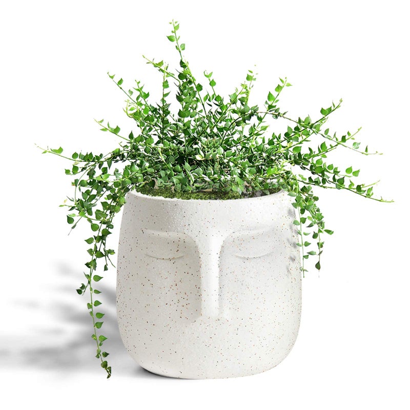 GeLive Head Plant Pot Succulent Planter with Drainage Hole Modern Statue Flower Pot Face Plant Vase Windowsill Box Art Home Decoration Indoor Outdoor (White) - Image 1