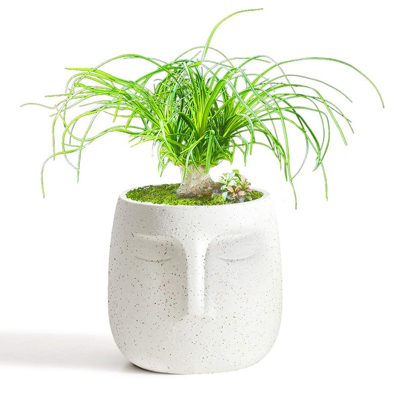 GeLive Head Plant Pot Succulent Planter with Drainage Hole Modern Statue Flower Pot Face Plant Vase Windowsill Box Art Home Decoration Indoor Outdoor (White) - Image 3