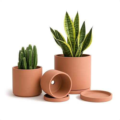 Dvine Dev Terracotta Pots for Plants 42 Inch 53 Inch 65 Inch Succulent Planter Pot with Drainage and Saucer 40TA0