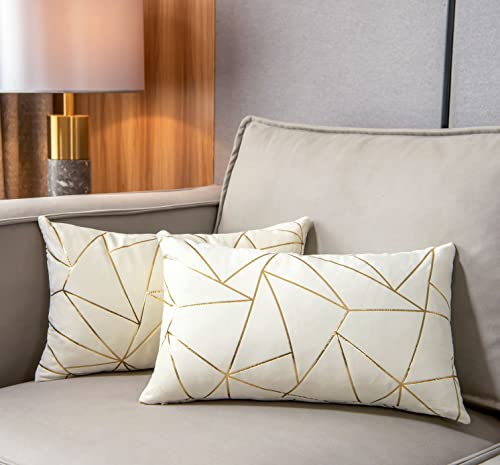 YONGLIU YONGLIU Pack of 2 Velvet Lumbar Throw Pillow Covers Velvet Decorative Soft Gold Foil Geometric Pattern Cute Cushion Case for Modern Homes Sofa Couch Bedroom Living Room Car White and Gold 12X20 