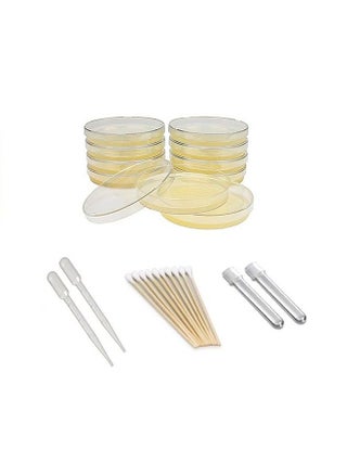 Bacteria Science Kit (I) : Prepoured Lb Agar Plates And Cotton Swabs, Ebook For Science Fair Project With Award Winning Experiments - pzsku/Z5CF2D6CA97D5CE590C5BZ/45/_/1680815096/cbda8a1f-e940-4b26-81b6-ee86991864f0