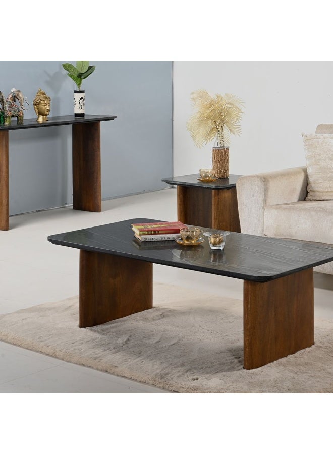 DANUBE HOME York Marble Top Coffee Table - Elegant Black/Walnut Finish, Solid Wood & Marble Design for Living Room, Stylish Furniture, Size: L130xW70xH45cm - Image 4