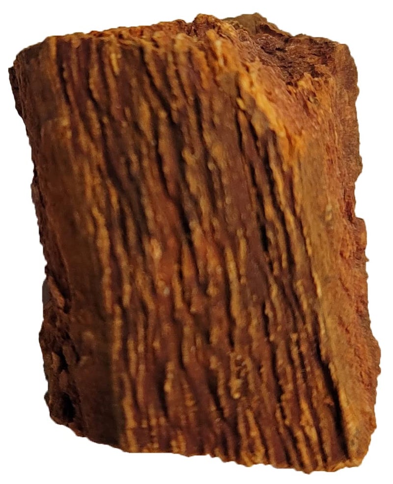 Naturejam Red Cinchona Bark 1 Pound Bulk-aka Quina Roja or Fever Tree 100% Natural From Mexico - Image 4