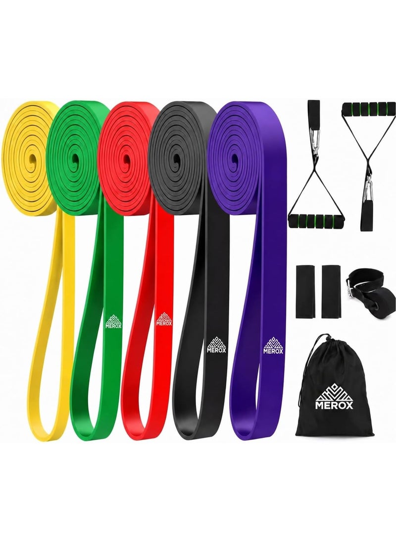 MEROX Pull Up Resistance Bands Set, 5 Heavy Duty Stretch Bands (10-150lbs) with Handles, Door Anchor & Ankle Straps, Resistance Band Set for Strength Training, Home Gym & Full Body Workout Equipment - Image 1