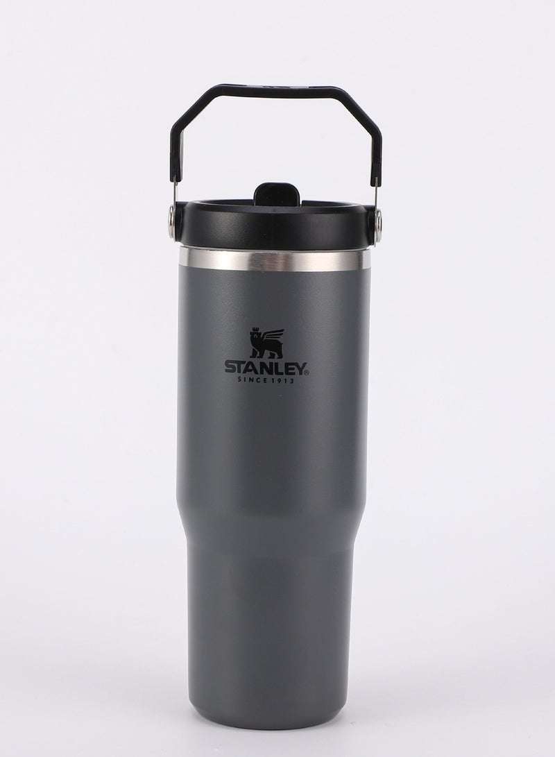 Stanley IceFlow Stainless Steel Tumbler - Vacuum Insulated Water Bottle for Home, Office or Car Reusable Cup with Straw Leak Resistant Flip Cold for 12 Hours or Iced for 2 Days, 30oz