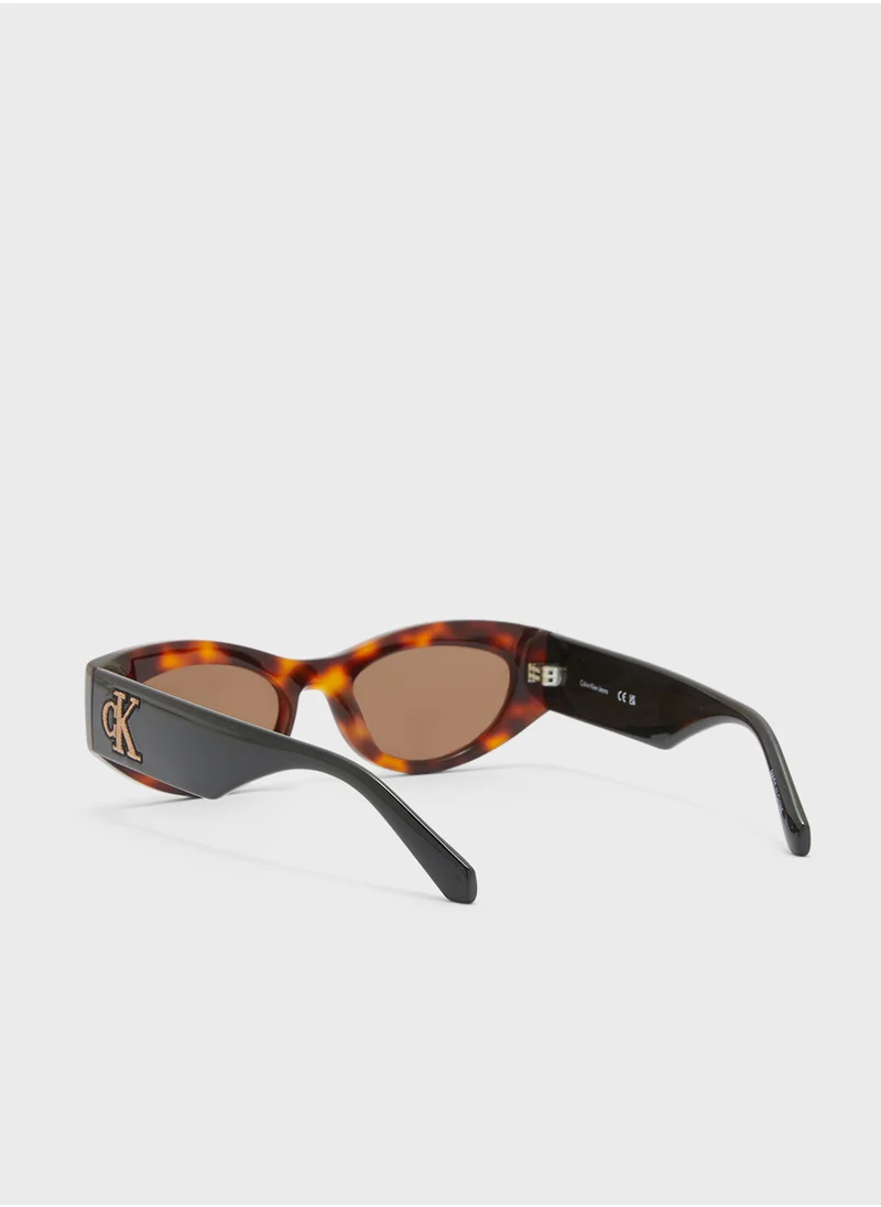 Calvin Klein Jeans Butterfly Sunglasses