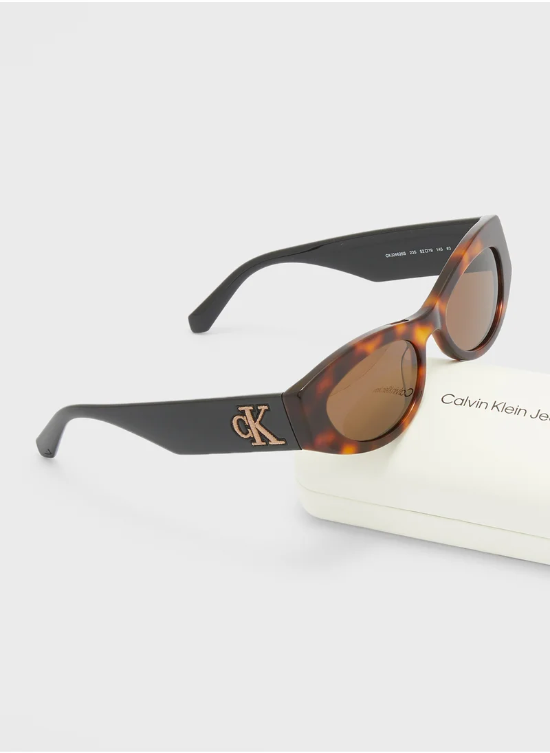 Calvin Klein Jeans Butterfly Sunglasses