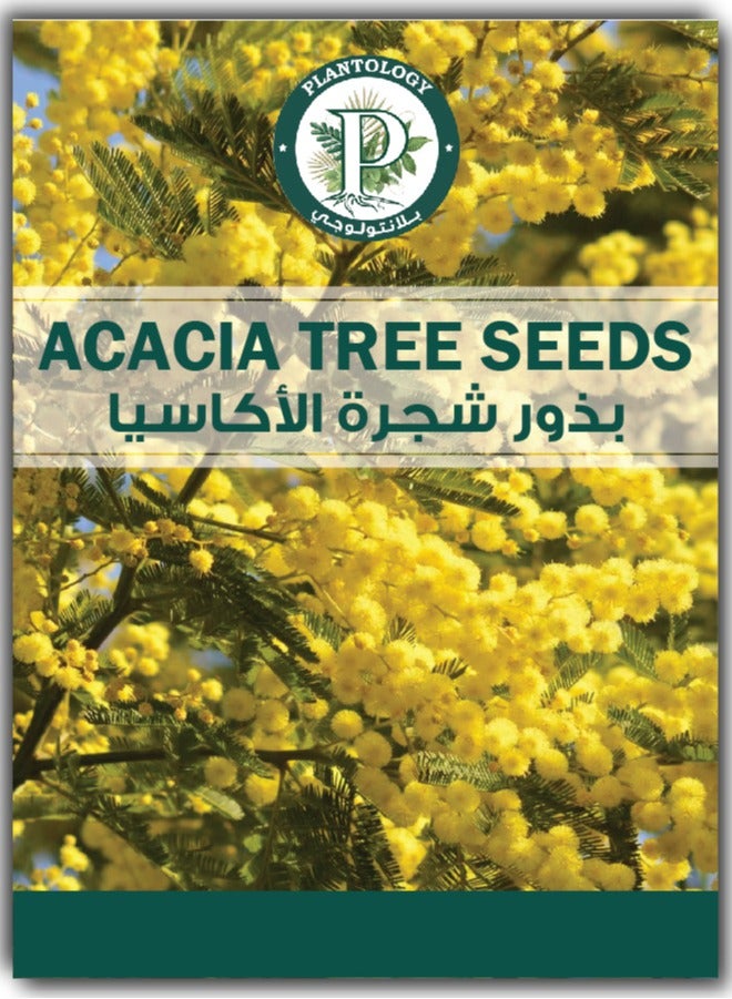 Generic Acacia Tree Seeds for Planting - Tree Flower Seeds for Planting - 10+ Seeds for tree growing -  Premium Natural Seeds for Planting - Image 1